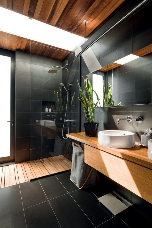 Sanseviere, une plante pour égayer la salle de bain