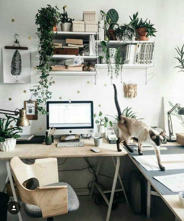 Comment décorer son bureau au travail ou à domicile. Inspiration et  conseils en 73 photos