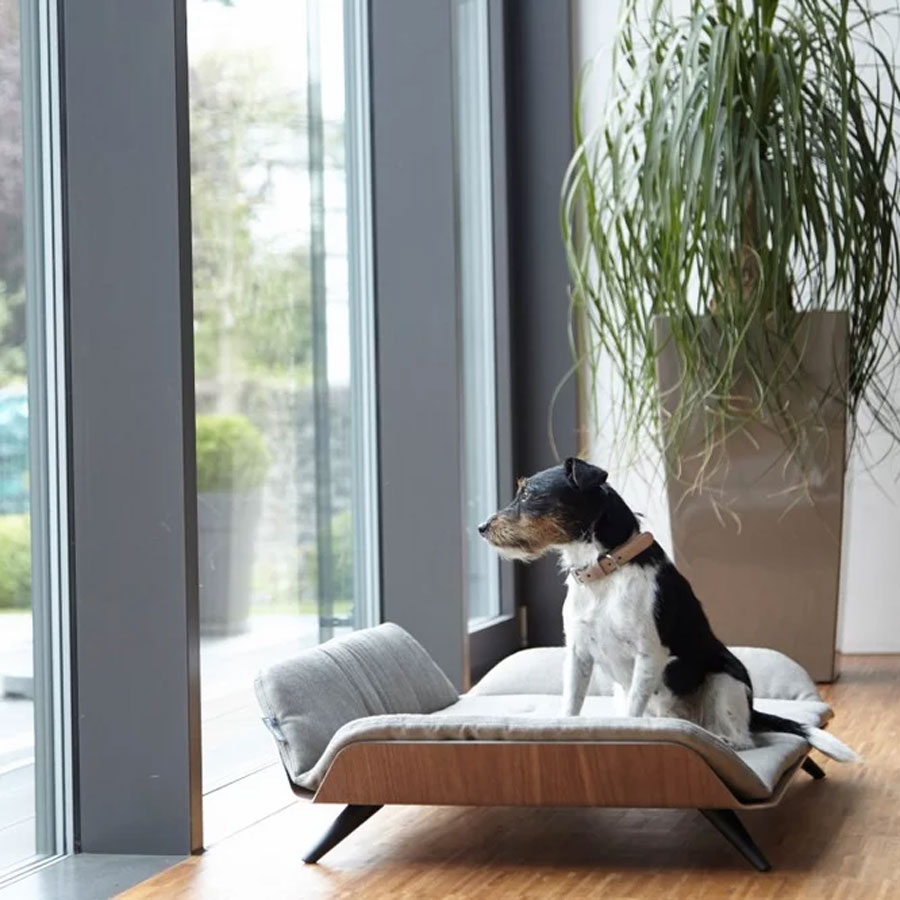 Un canapé design bi-matière pour chien pour un intérieur sobre et minimaliste