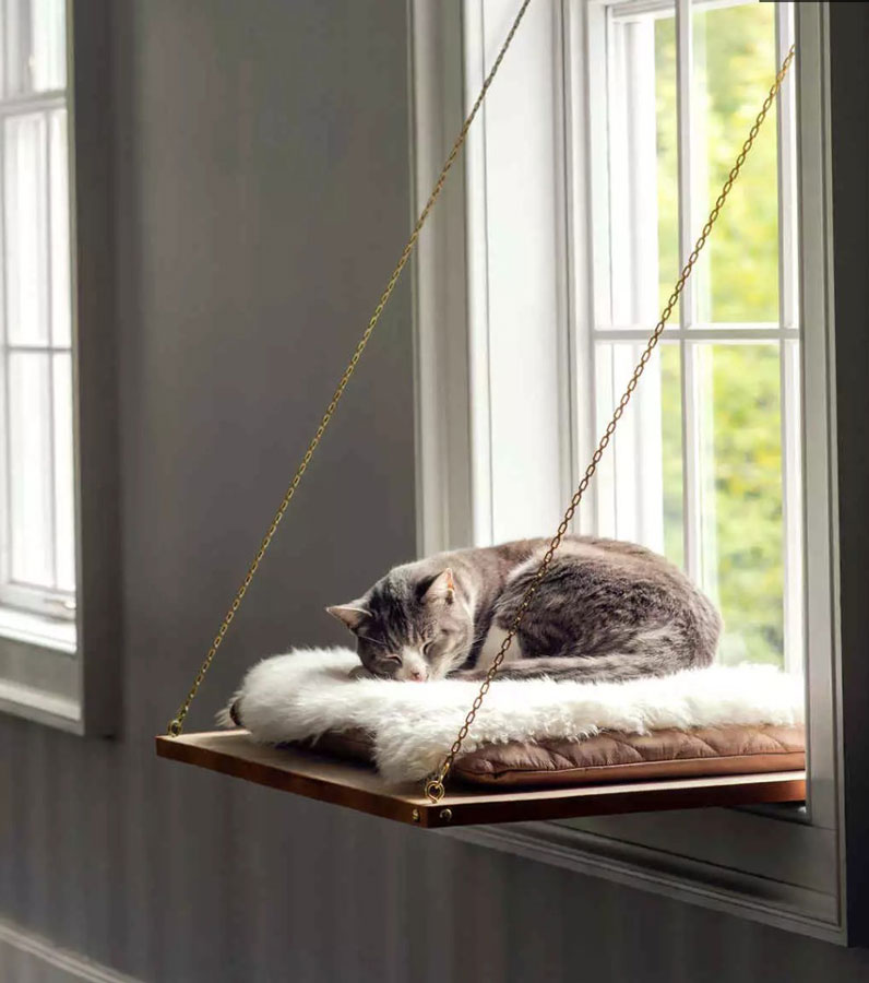 Perchoir fenêtre pour chat afin de gagner de l'espace