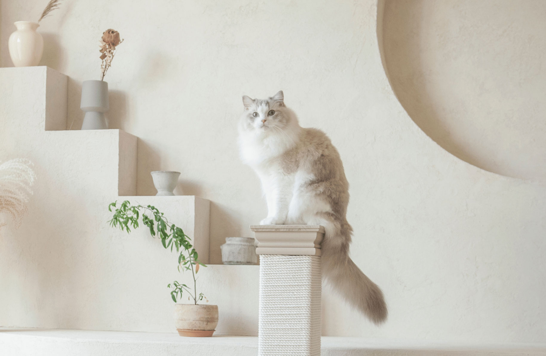 Décoration Chat en bois blanc et coloré - Créateur - Fait main